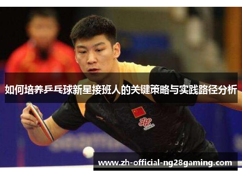 如何培养乒乓球新星接班人的关键策略与实践路径分析
