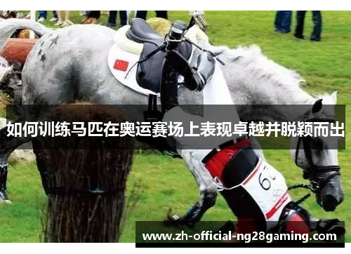 如何训练马匹在奥运赛场上表现卓越并脱颖而出