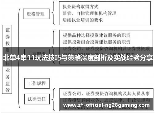 北单4串11玩法技巧与策略深度剖析及实战经验分享