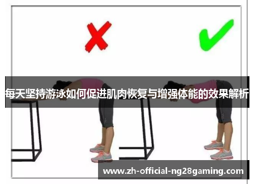 每天坚持游泳如何促进肌肉恢复与增强体能的效果解析