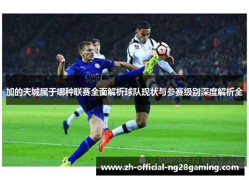 加的夫城属于哪种联赛全面解析球队现状与参赛级别深度解析全