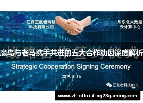 魔鸟与老马携手共进的五大合作动因深度解析